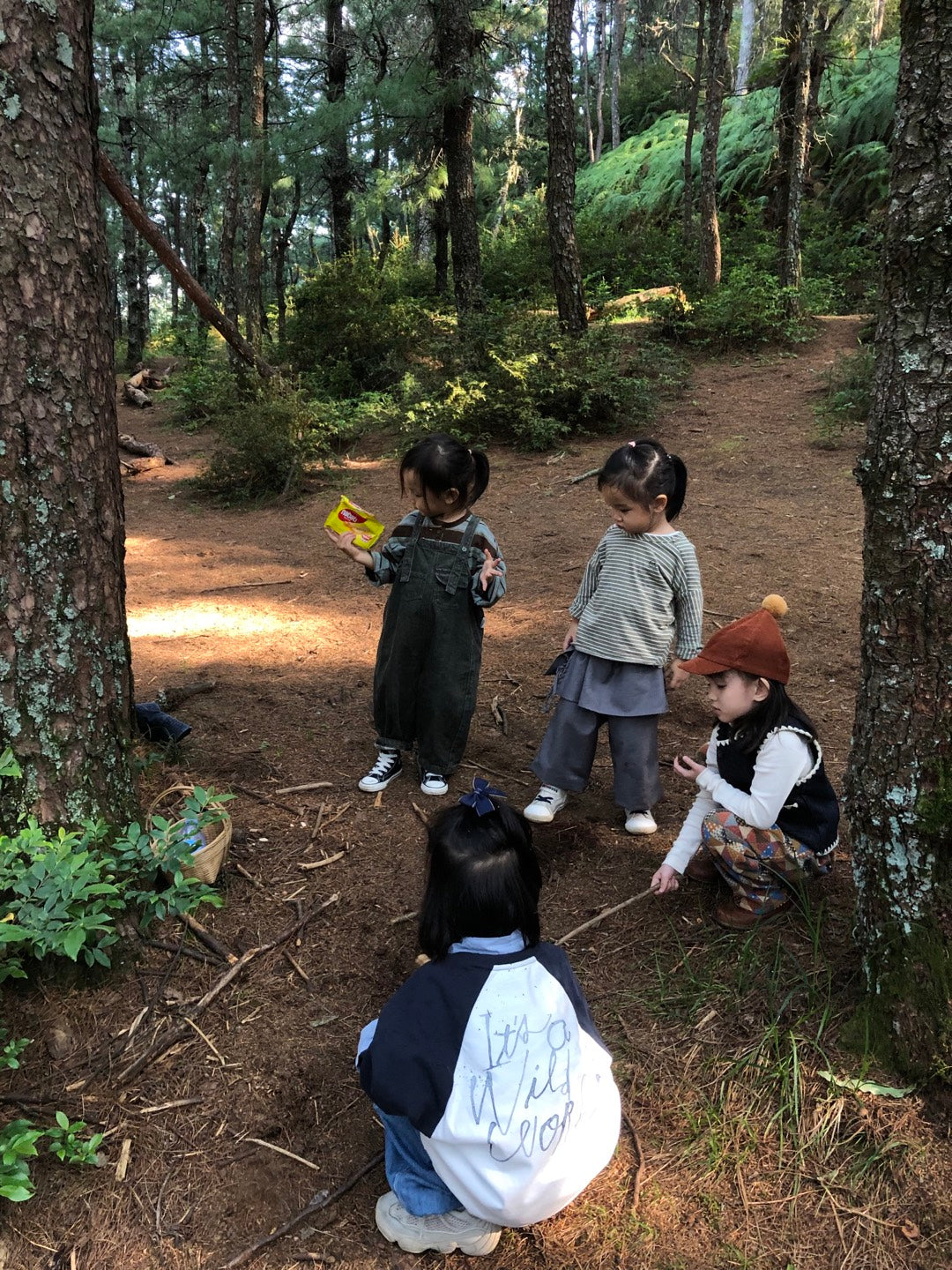 山间四季的集采