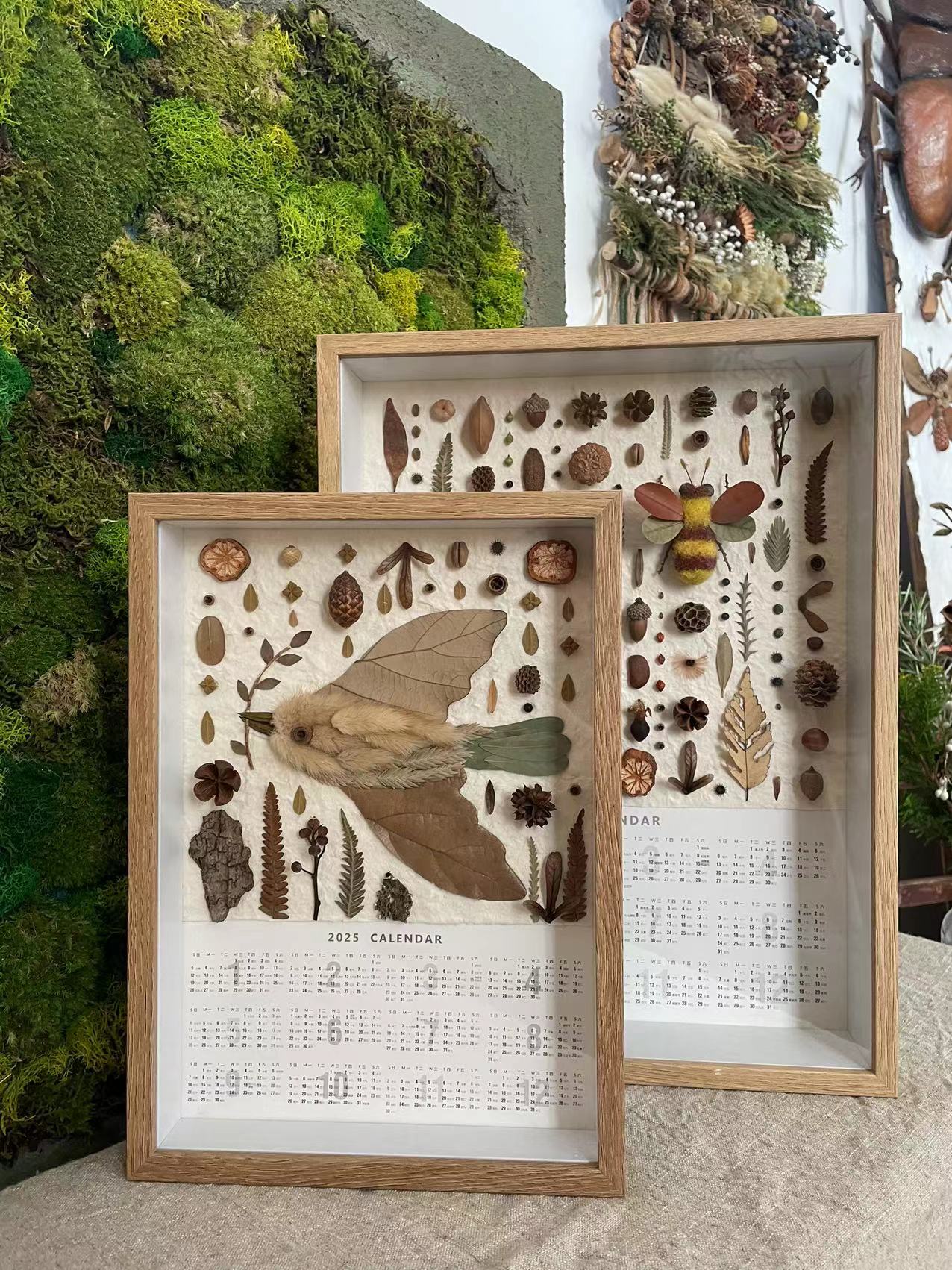 阿瓜 | 秩序感植物装饰画