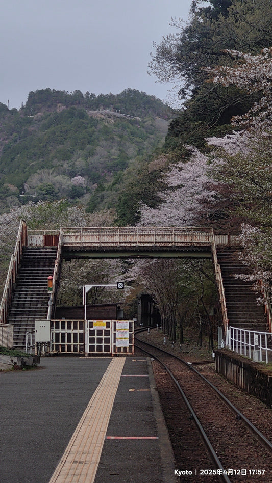 杰森 | 4 月 11 号 我的同学