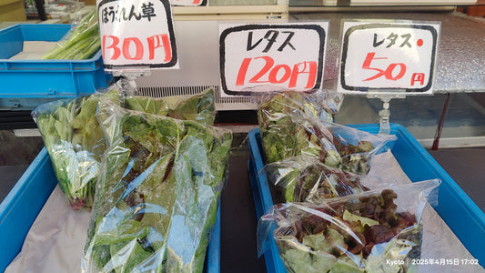 4月13日 第一次做饭