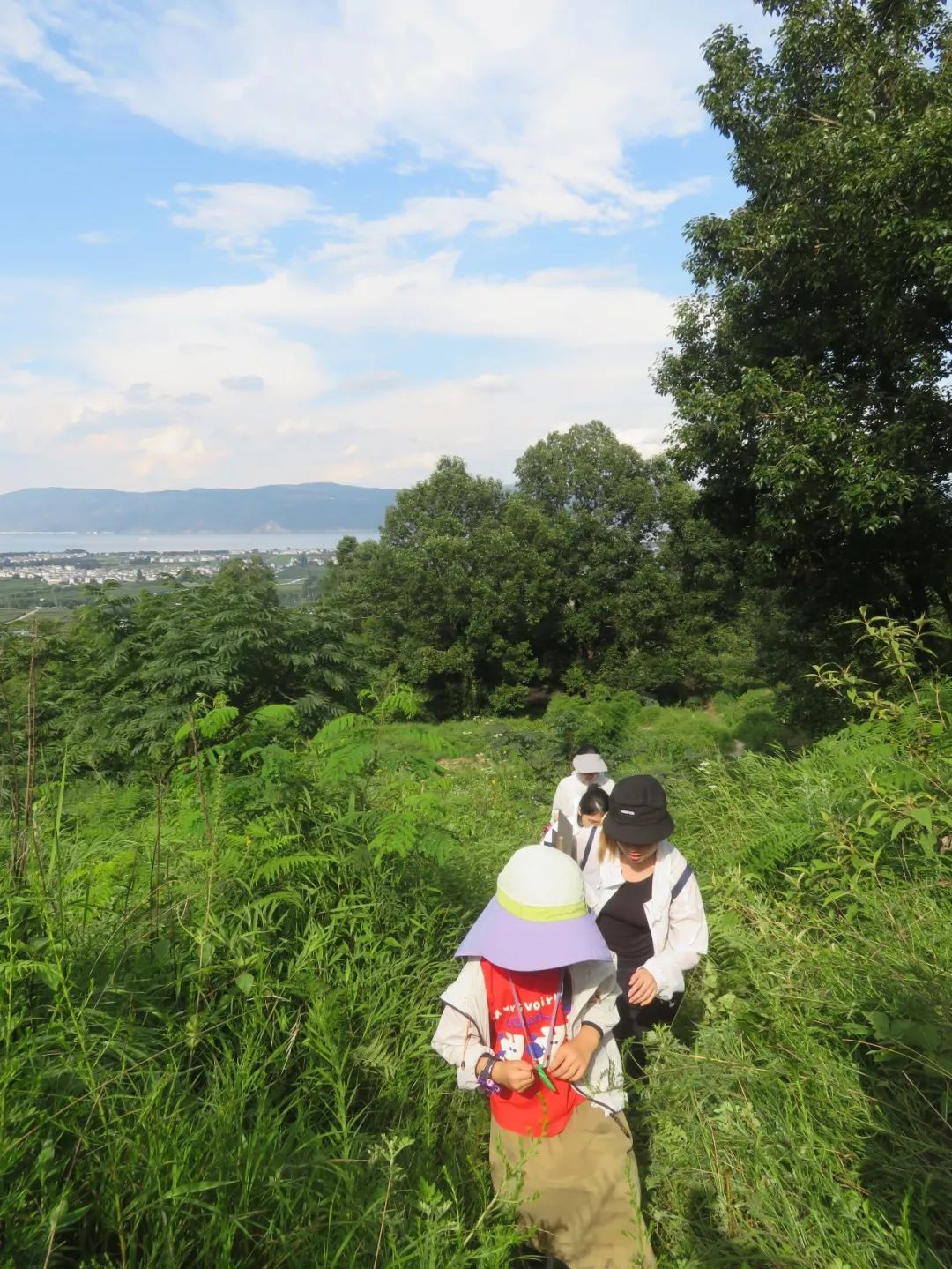 5 岁