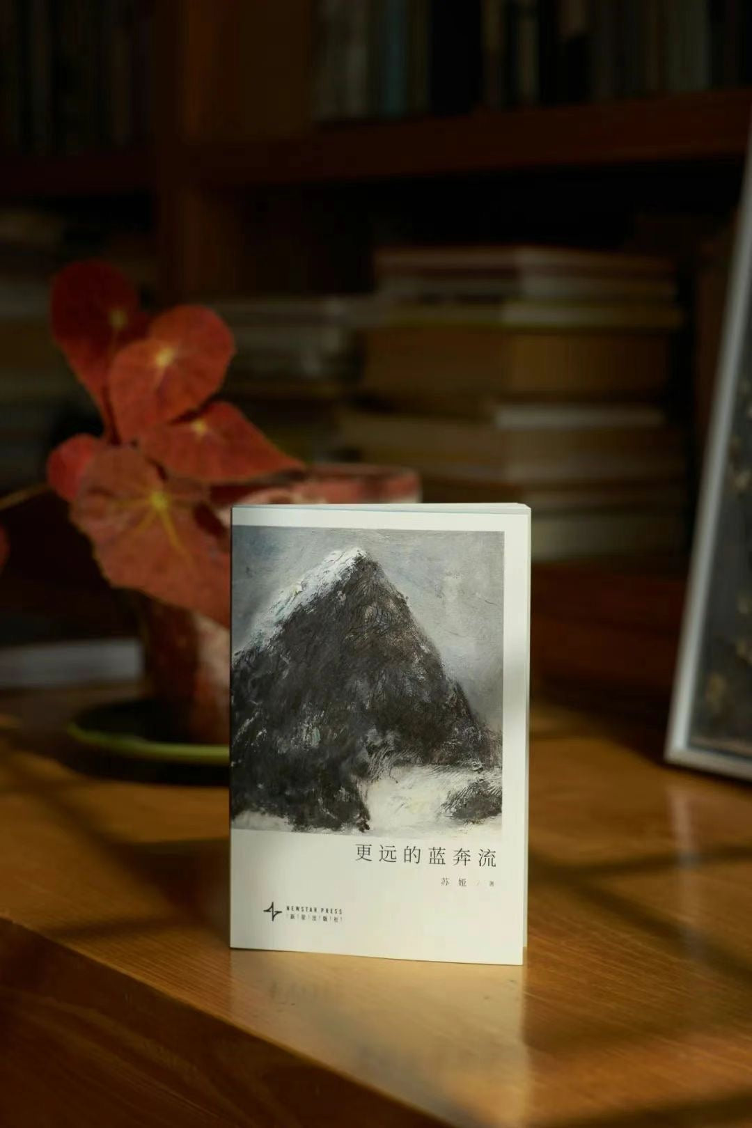 大理书籍