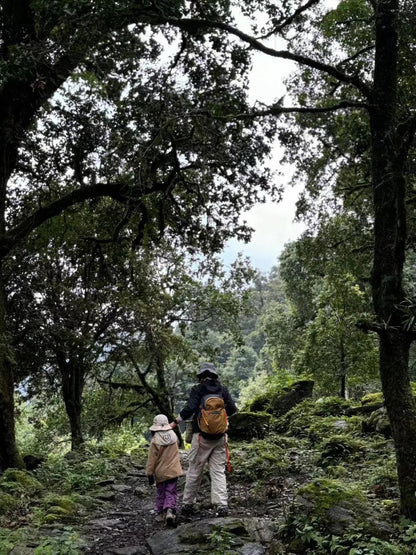 (4-11月) 苍山西坡露营