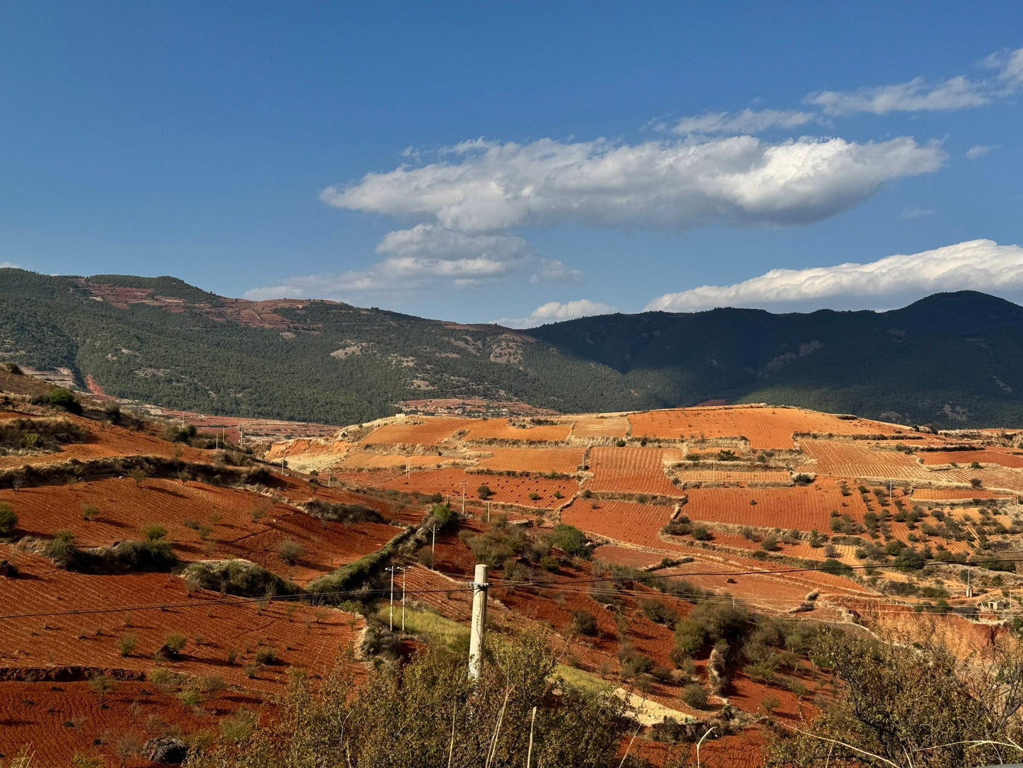 凤羽乡村旅行 56