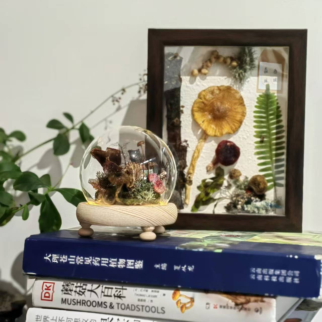 制作「蘑菇灯」| 用自己森林里采集的蘑菇