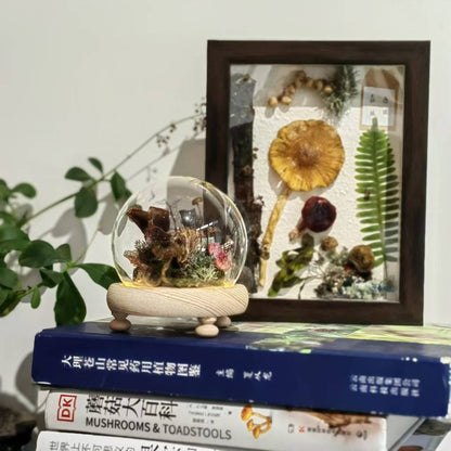 制作「蘑菇灯」| 用自己森林里采集的蘑菇