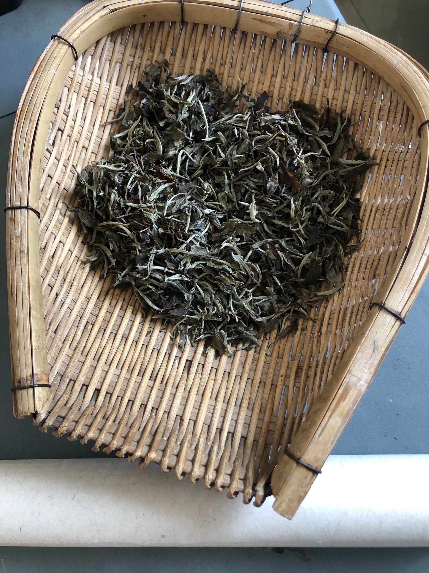 （3-6月）苍山采野生茶 制作自己的白茶