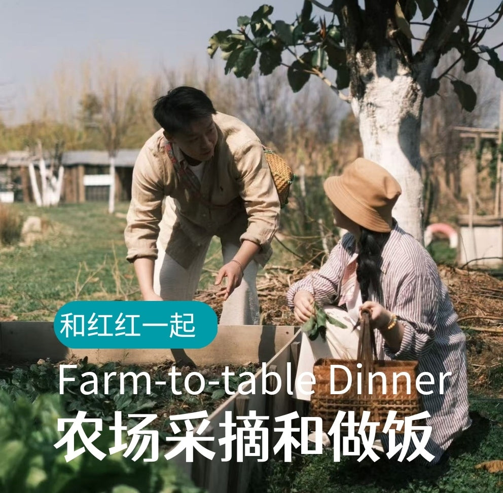 去有机农场采摘 | 和红红一起在家做饭