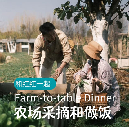 去有机农场采摘 | 和红红一起在家做饭