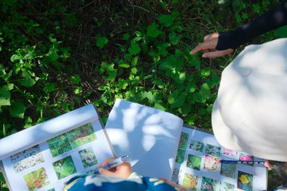 Mini escursione di osservazione della natura | Uccelli, piante e insetti