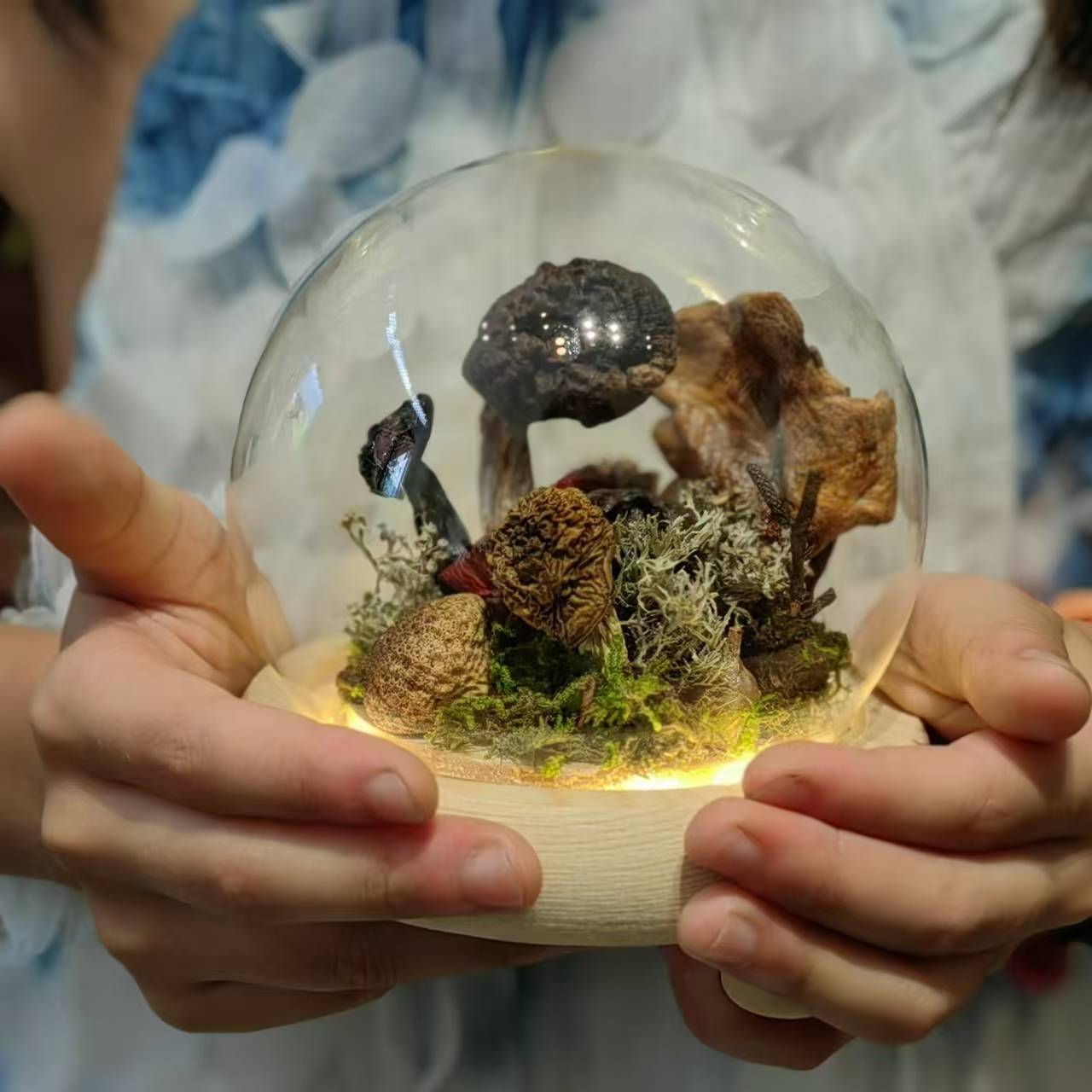 制作「蘑菇灯」| 用自己森林里采集的蘑菇