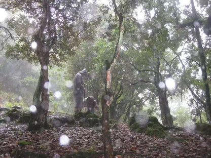 (4-11月) 苍山西坡露营