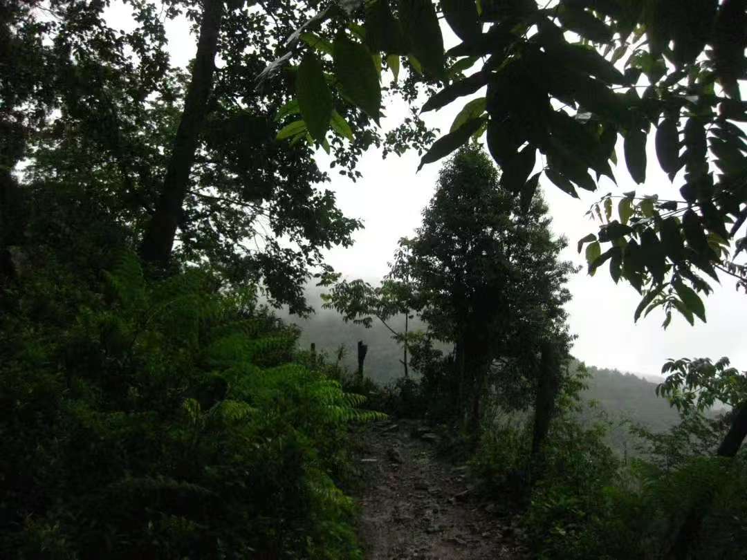 (4-11月) 苍山西坡露营
