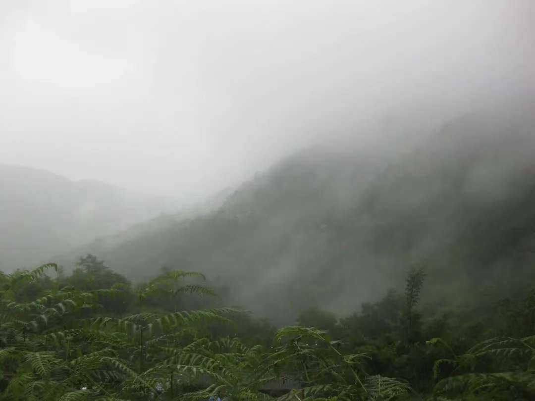 (4-11月) 苍山西坡露营