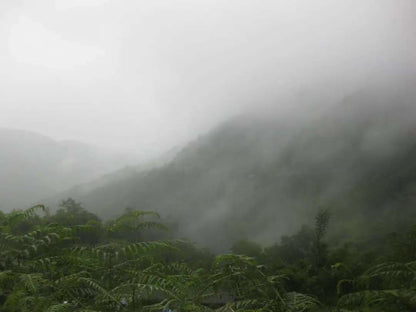 (4-11月) 苍山西坡露营