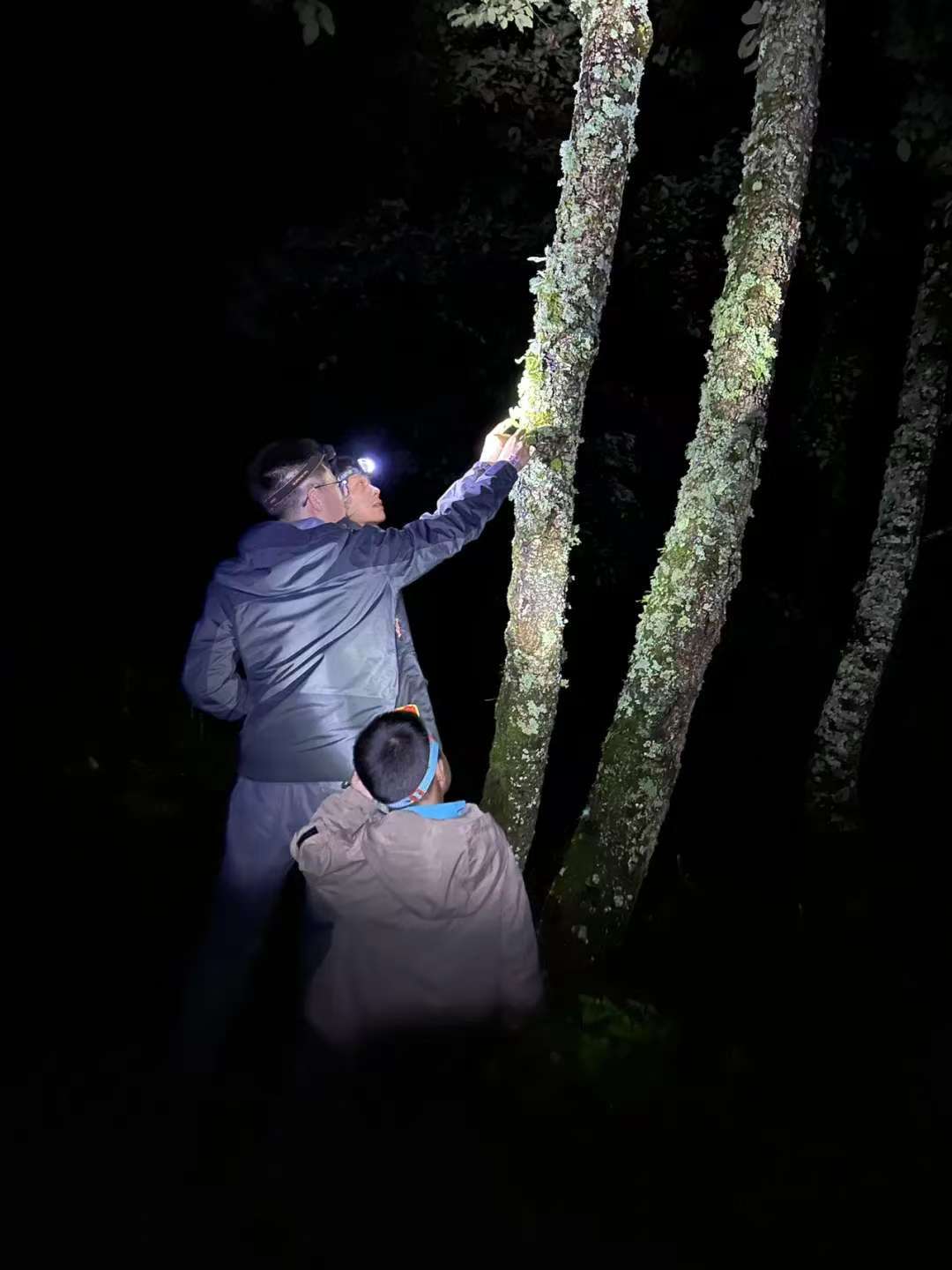 (4-11月) 苍山西坡露营