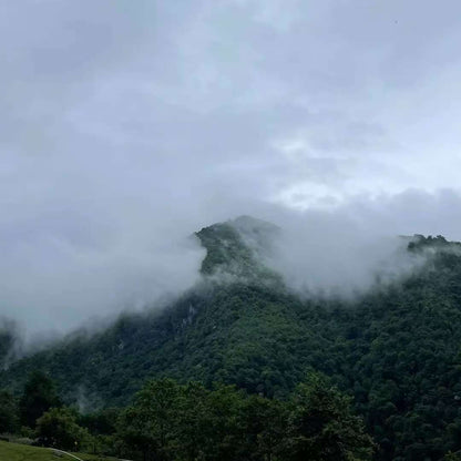 (4-11月) 苍山西坡露营