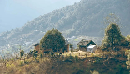 西坡山里人家的一天