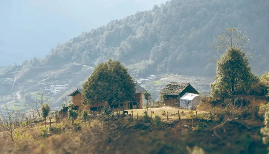 西坡小阿艳家