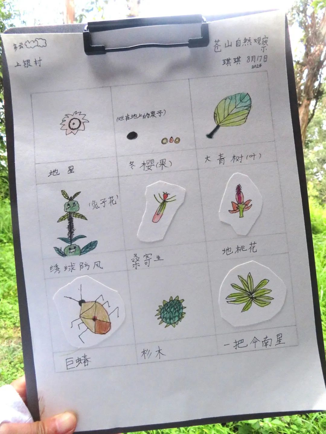 自然观察与笔记 | 鸟类、植物和昆虫