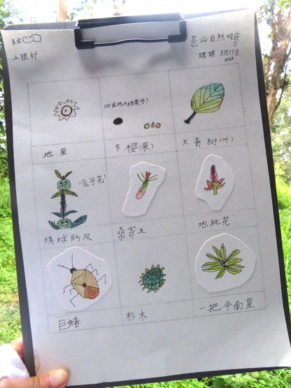 自然观察与笔记 | 鸟类、植物和昆虫