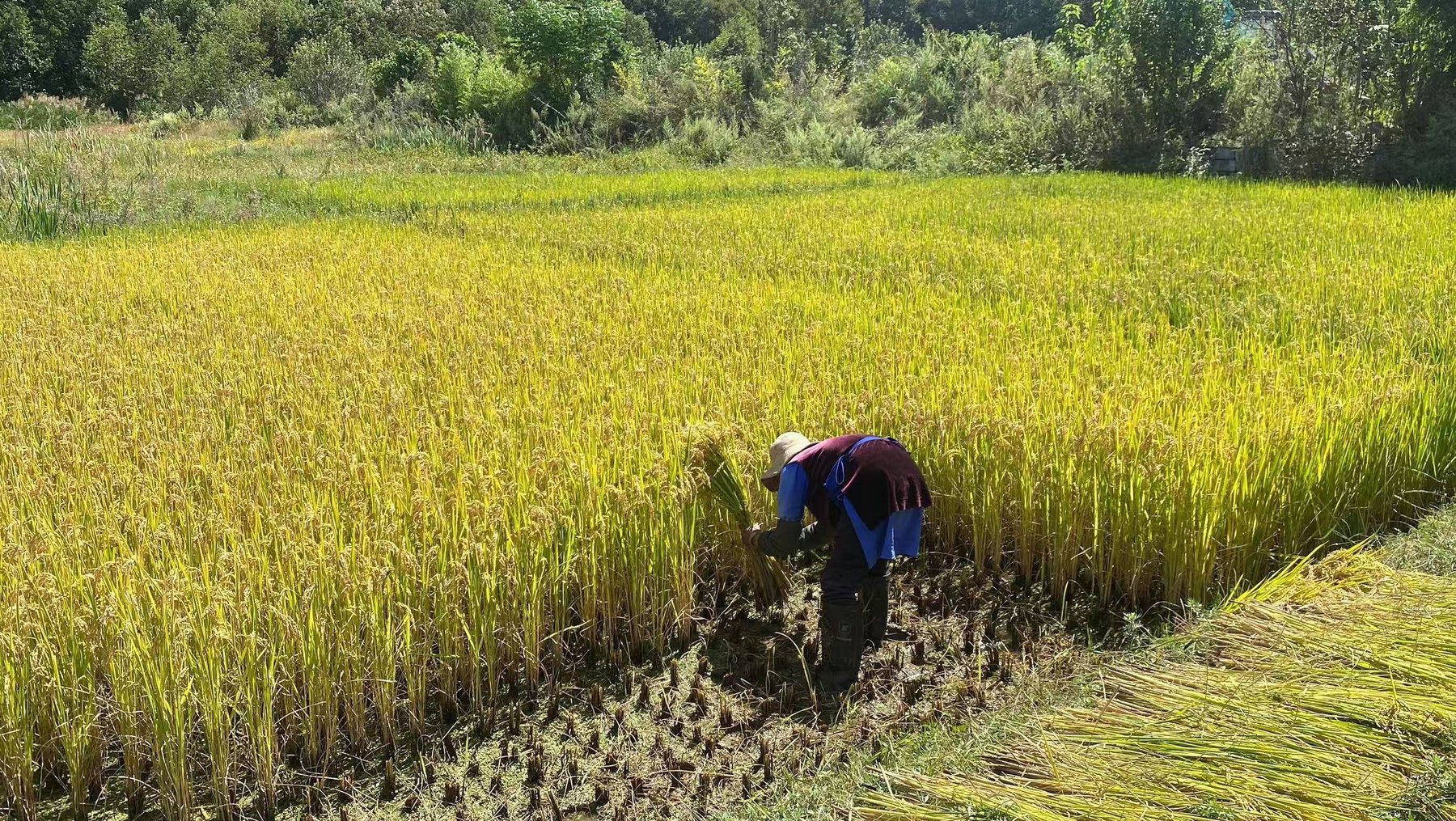 凤羽乡村旅行 15