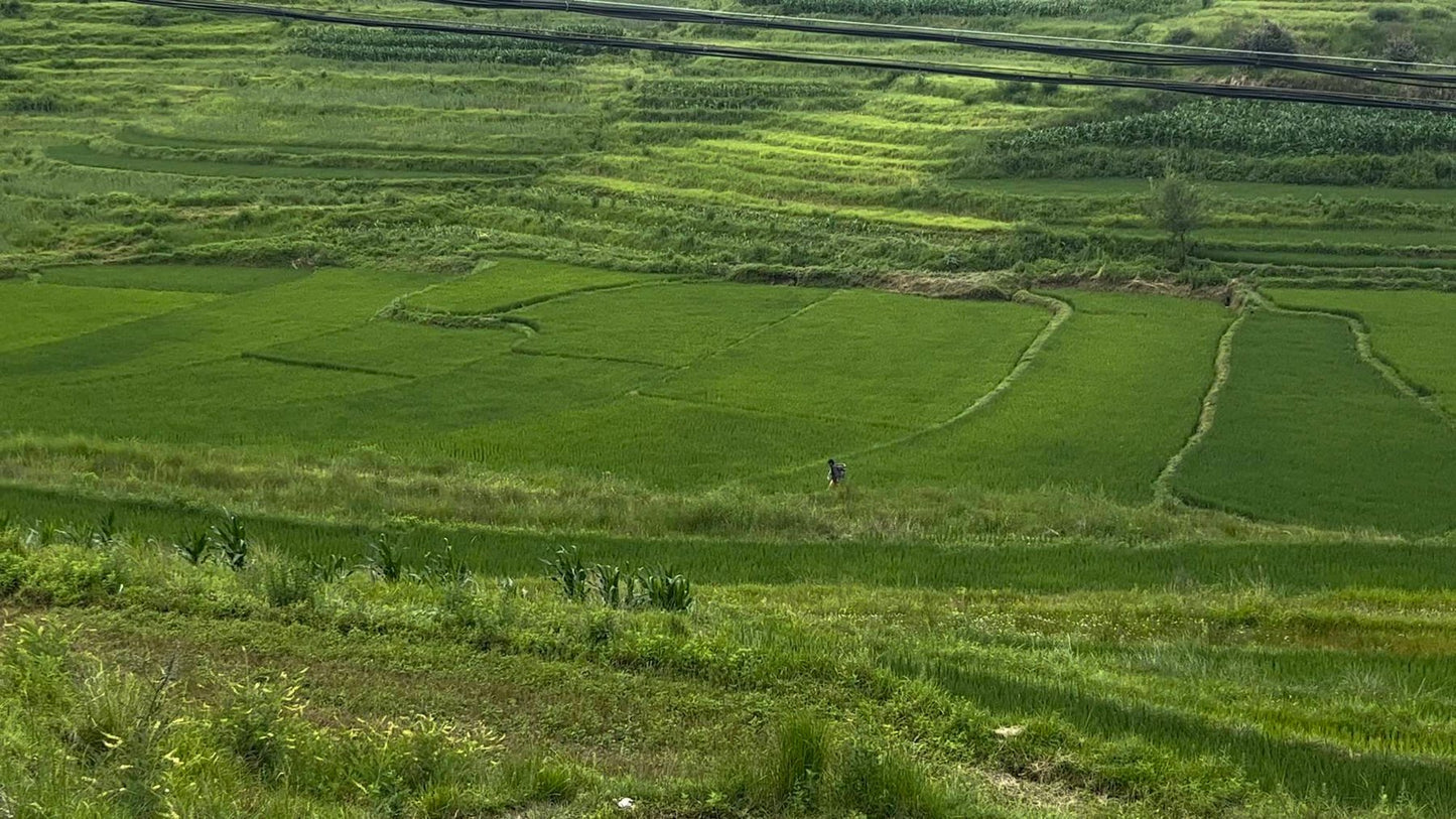 凤羽乡村旅行 14