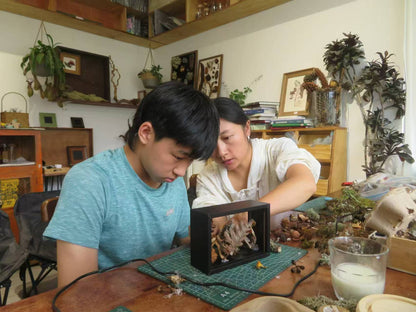 制作「蘑菇灯」| 用自己森林里采集的蘑菇