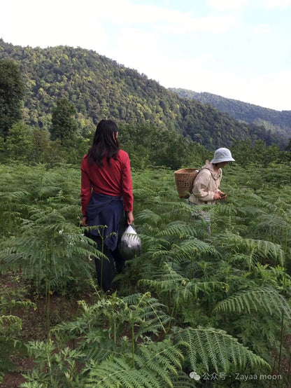 西坡山里人家的一天