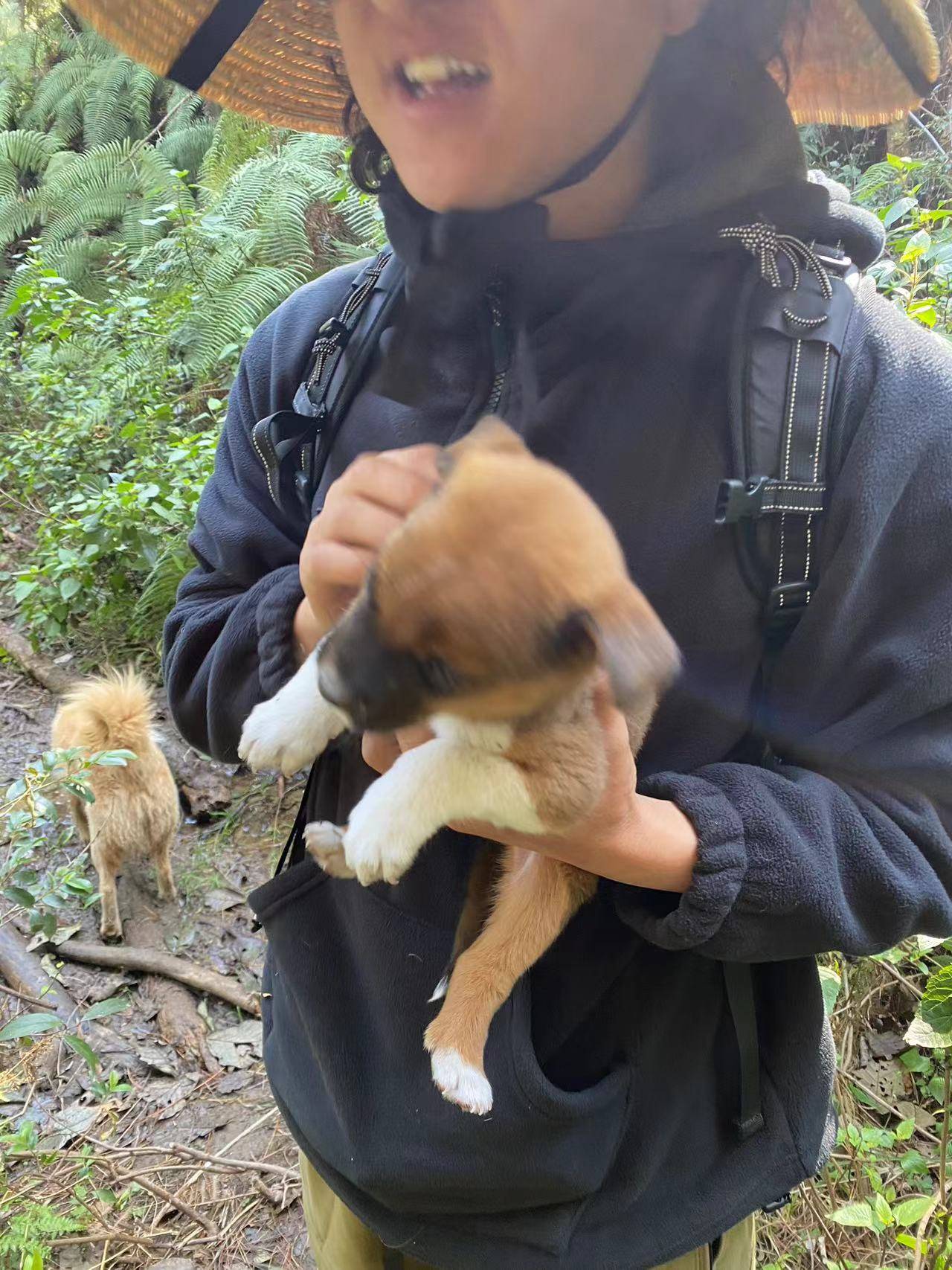 阔松坪轻徒步 | 田野 · 溪流 · 森林