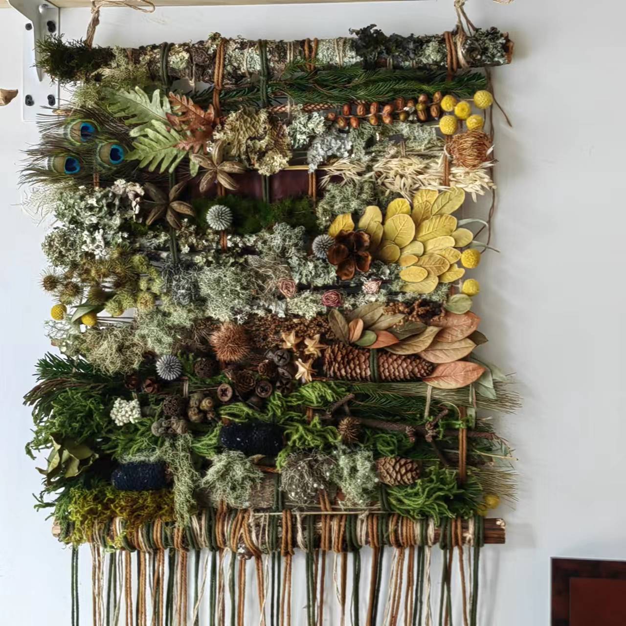 用植物和果实制作一幅画框