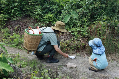 Mini escursione di osservazione della natura | Uccelli, piante e insetti