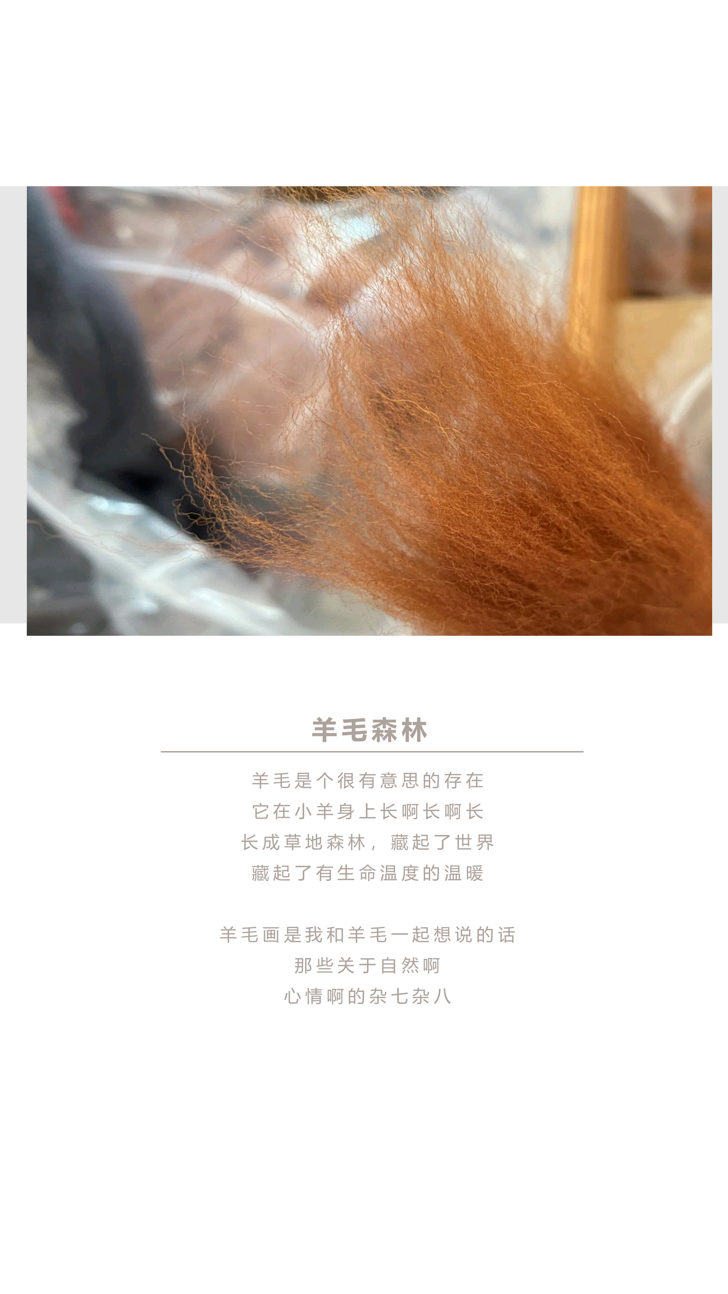 何呐呐 | 羊毛画