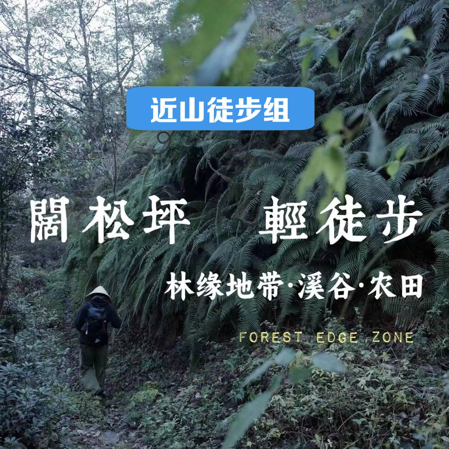 阔松坪轻徒步 | 田野 · 溪流 · 森林
