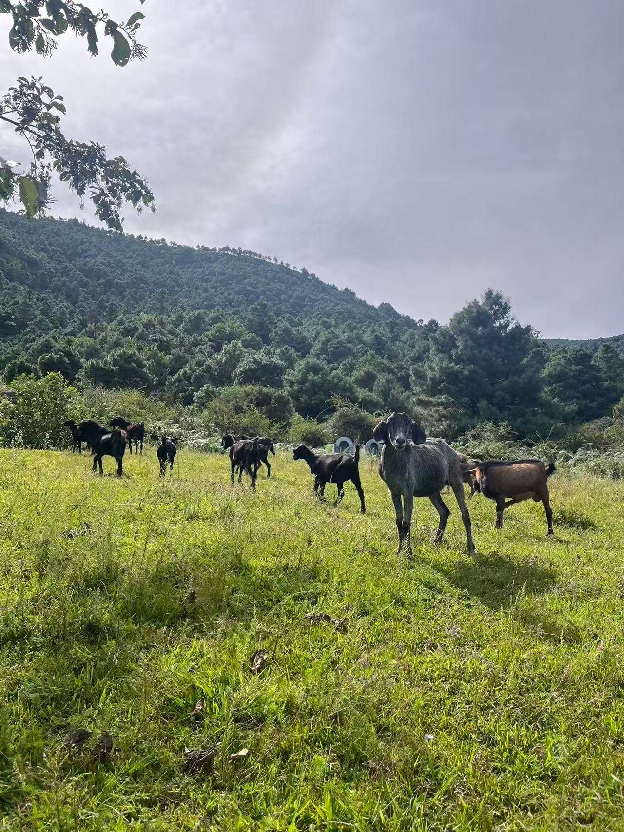 凤羽乡村旅行 49