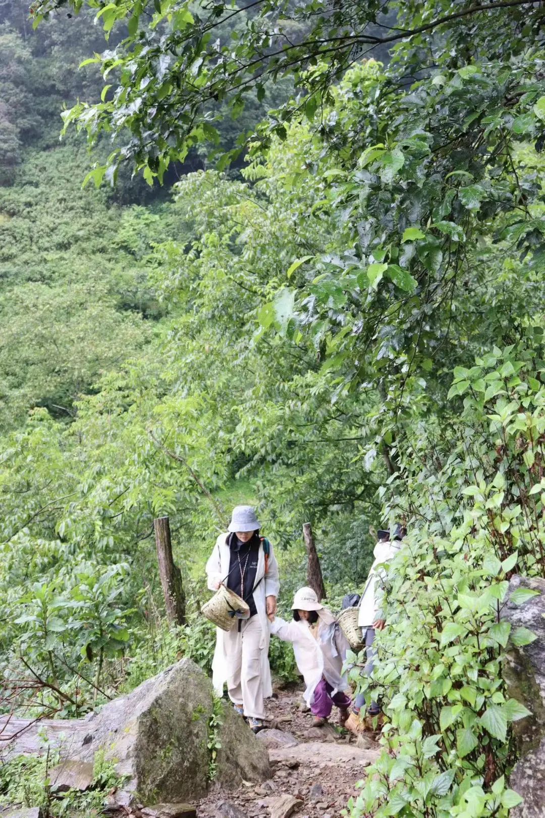 (4-11月) 苍山西坡露营