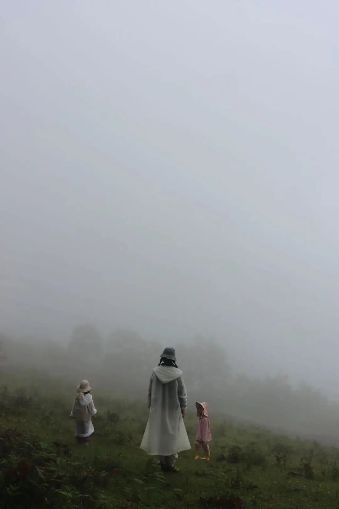 (4-11月) 苍山西坡露营