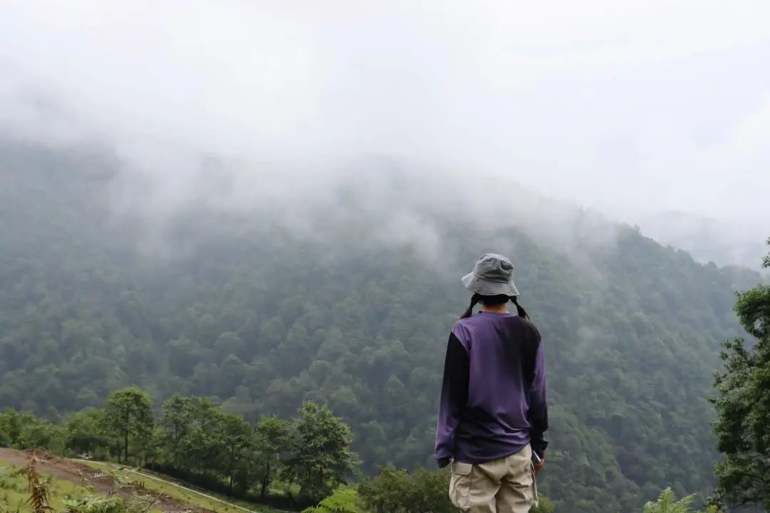 (4-11月) 苍山西坡露营