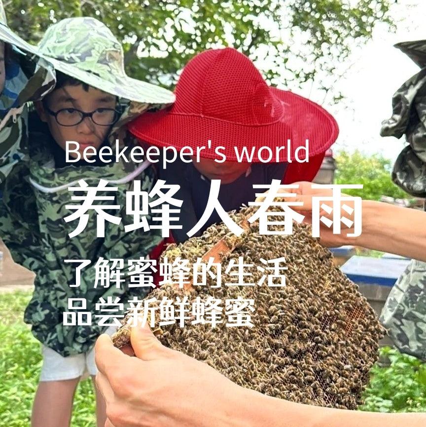养蜂人春雨 | 了解蜜蜂生活，品尝最新鲜蜂蜜