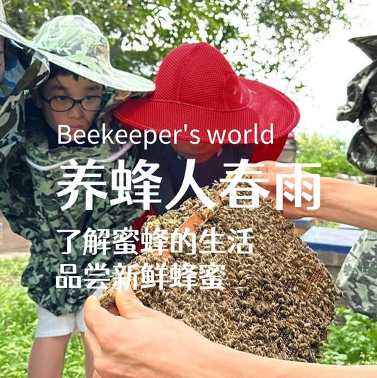 养蜂人春雨 | 了解蜜蜂生活，品尝最新鲜蜂蜜