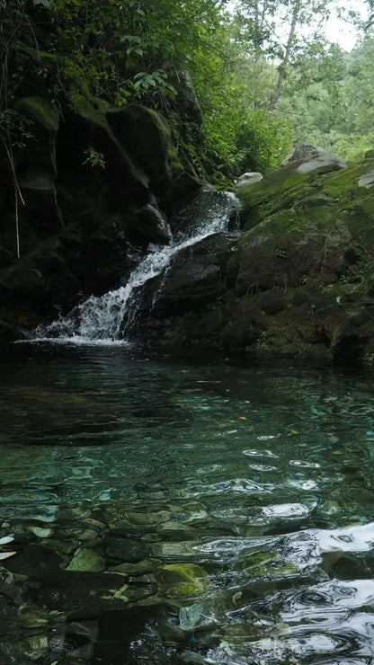 溪流里的溯溪 6岁+