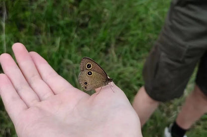 Mini escursione di osservazione della natura | Uccelli, piante e insetti