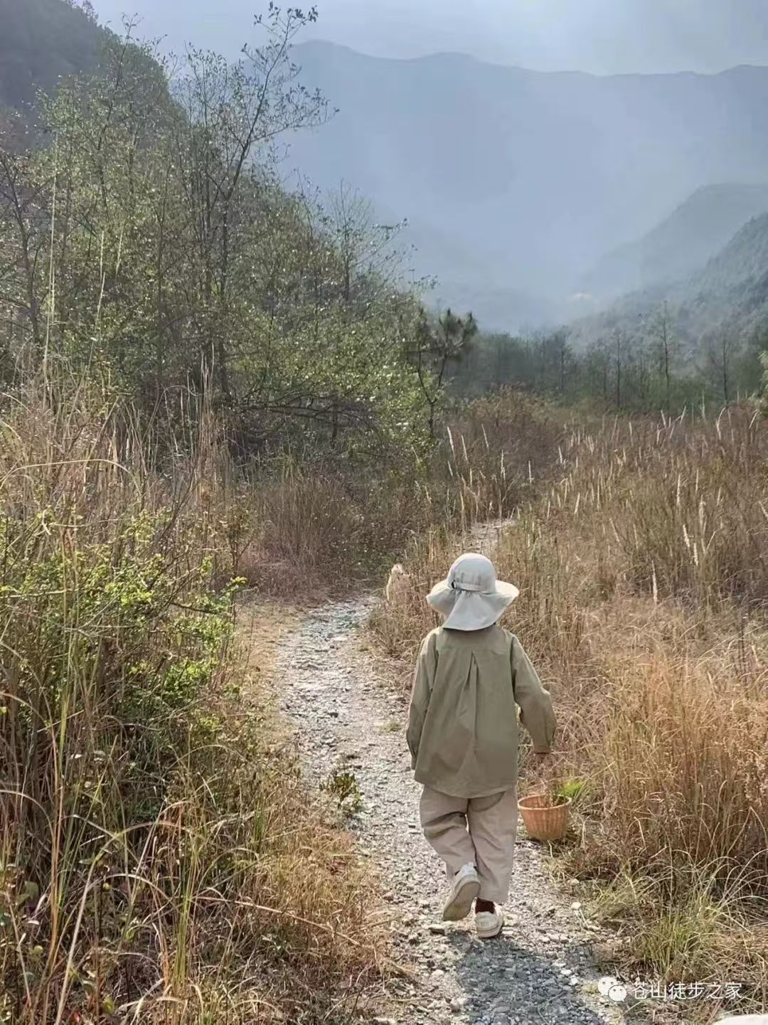 Mini徒步去山间采摘 | 溪边拓染