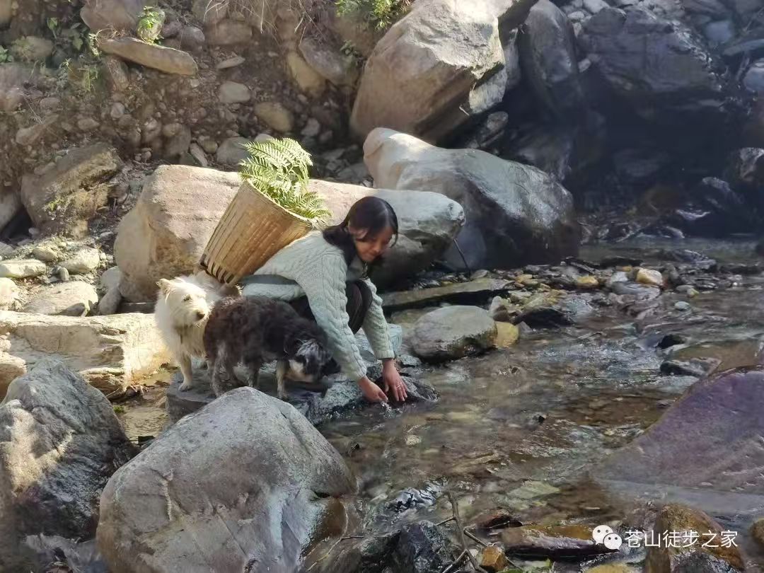Mini徒步去山间采摘 | 溪边拓染
