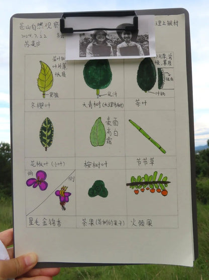 自然观察与笔记 | 鸟类、植物和昆虫