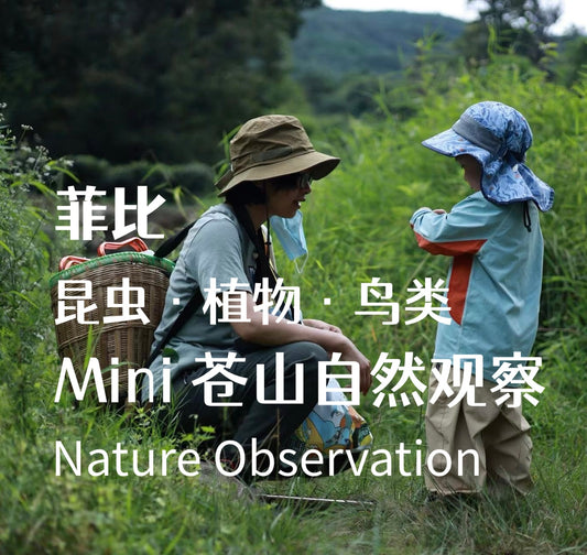 自然观察Mini徒步 | 鸟类，植物和昆虫