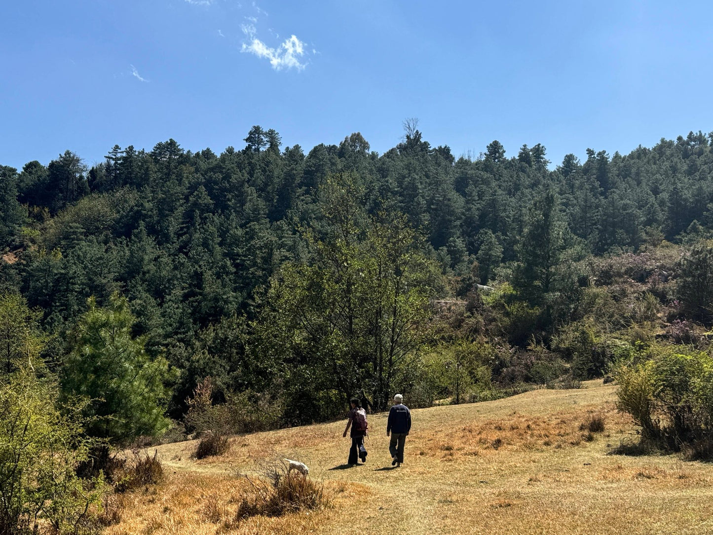 凤羽乡村旅行 12