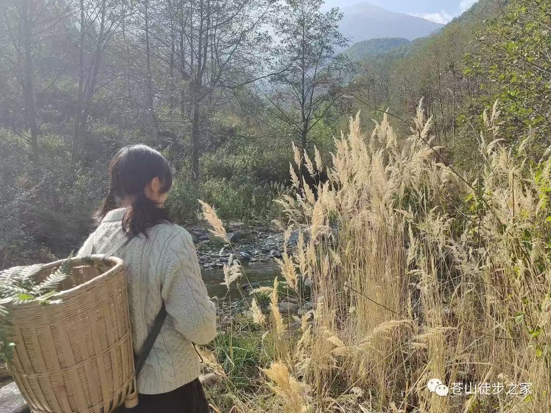 Mini徒步去山间采摘 | 溪边拓染