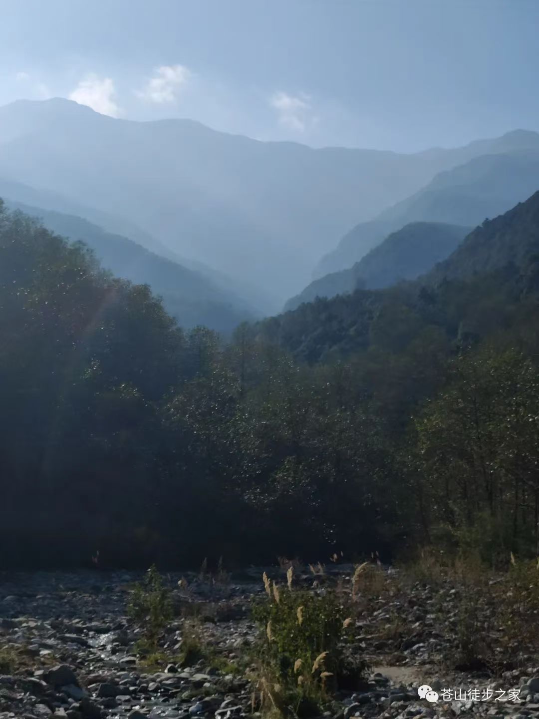 Mini徒步去山间采摘 | 溪边拓染