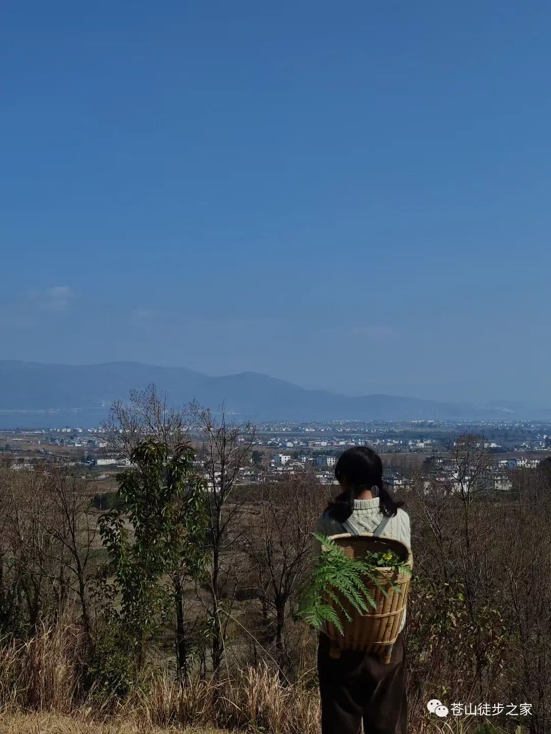 Mini徒步去山间采摘 | 溪边拓染